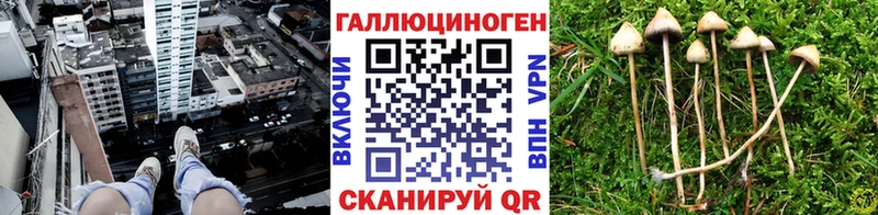 Галлюциногенные грибы прущие грибы Алексеевка