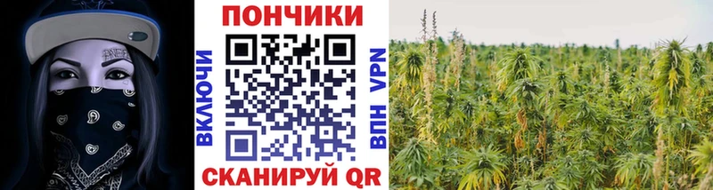 Шишки марихуана планчик  Купить  Алексеевка 